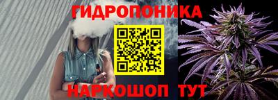 молекула духа Лесосибирск